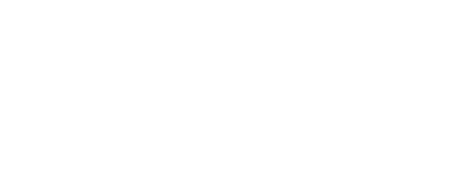Logo Spin Blajin pentru brandul de tatuaje Brașov, România.