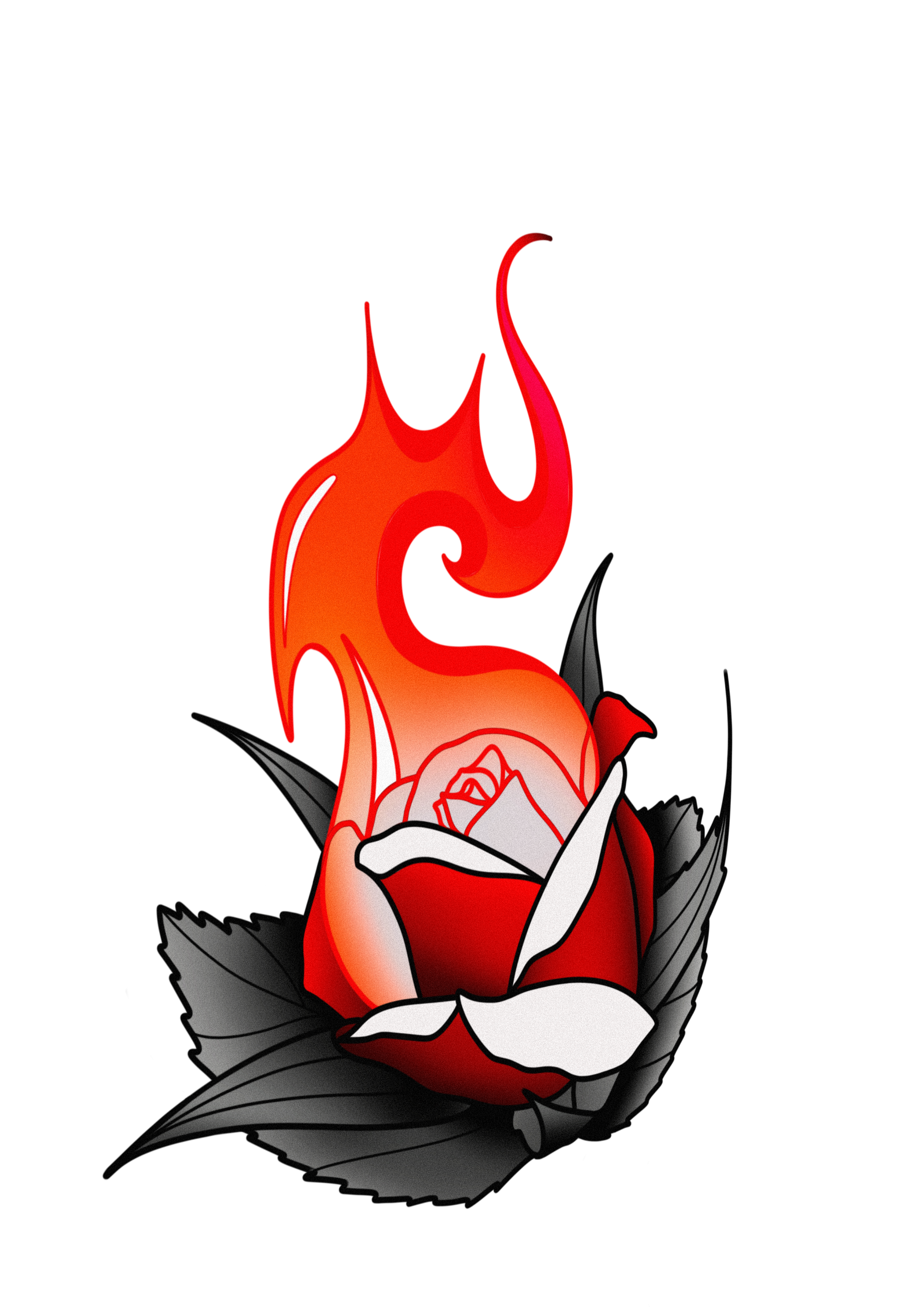 Red_Rose